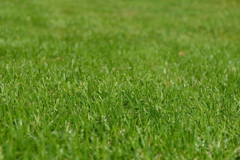 viherrakentaminen kotisivut nurmikko